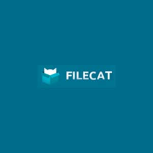 Compre sua conta premium Filecat - Simples e Rápido